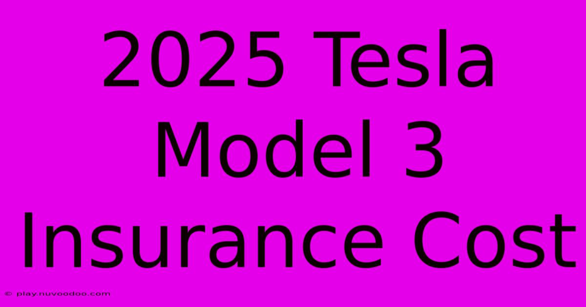 2025 Tesla Model 3 Insurance Cost