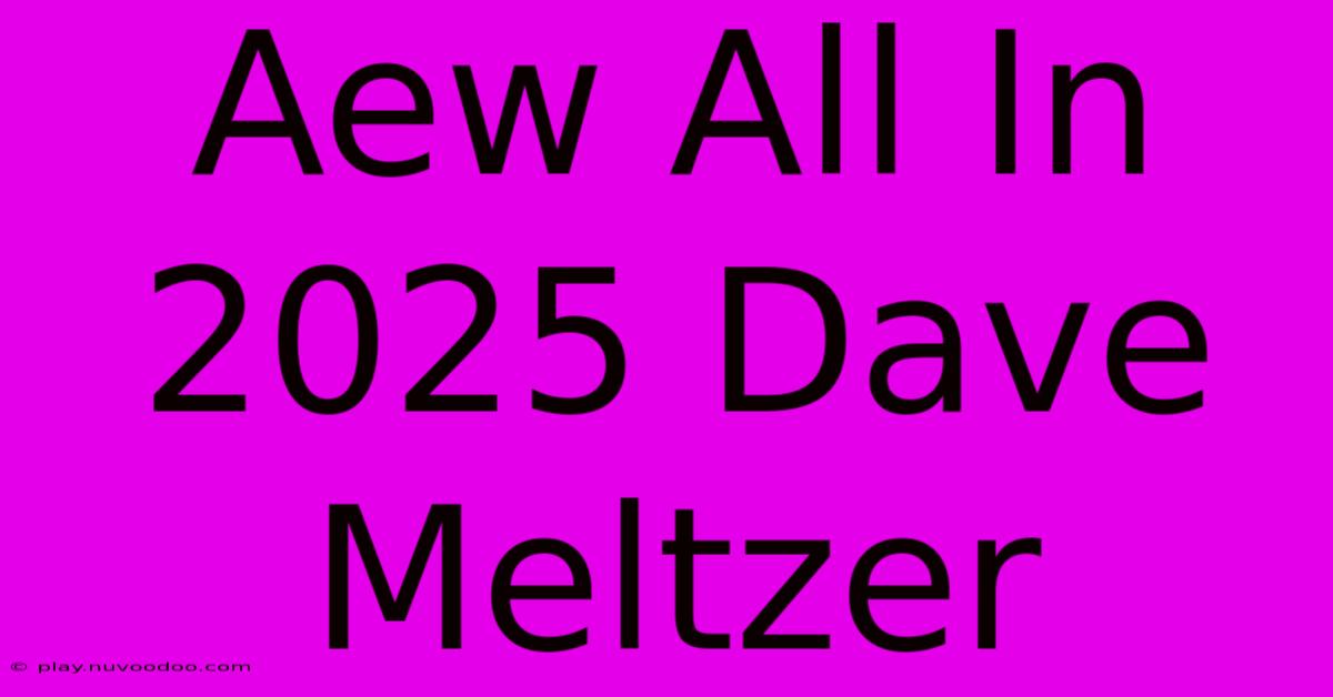 Aew All In 2025 Dave Meltzer