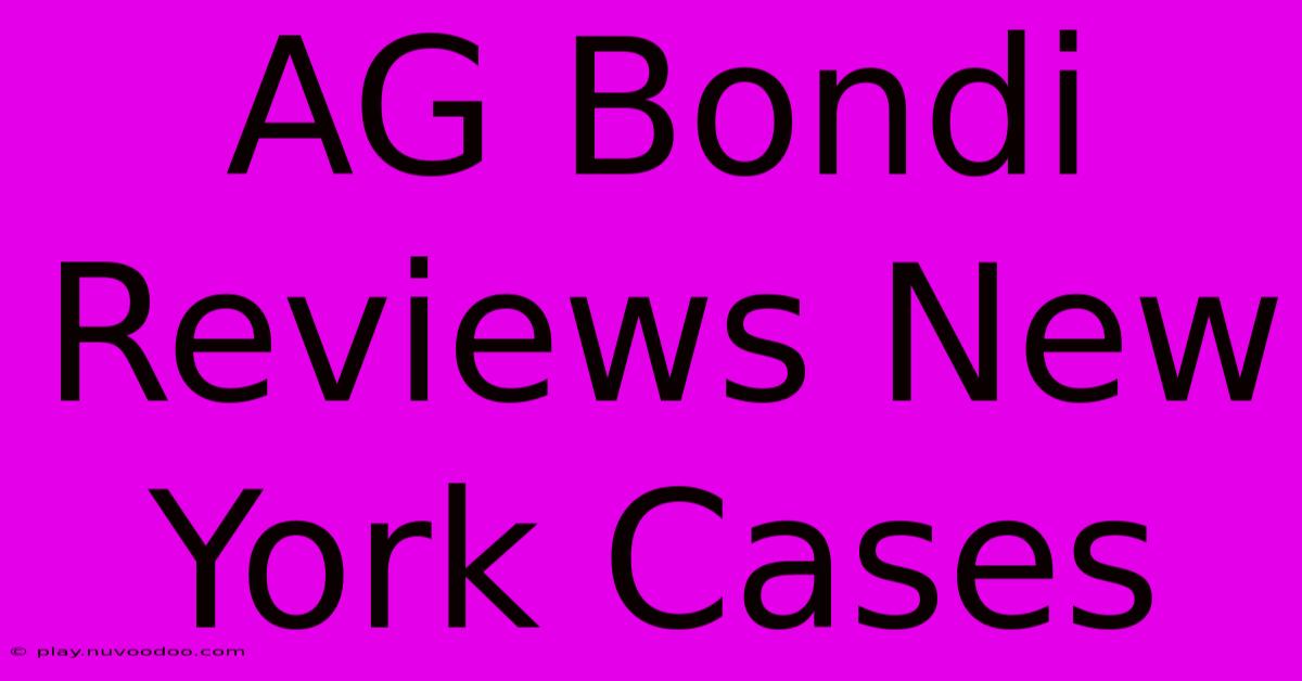 AG Bondi Reviews New York Cases