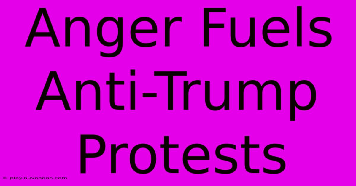 Anger Fuels Anti-Trump Protests