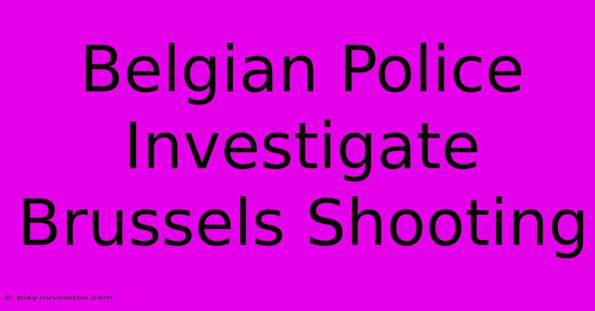 Belgian Police Investigate Brussels Shooting