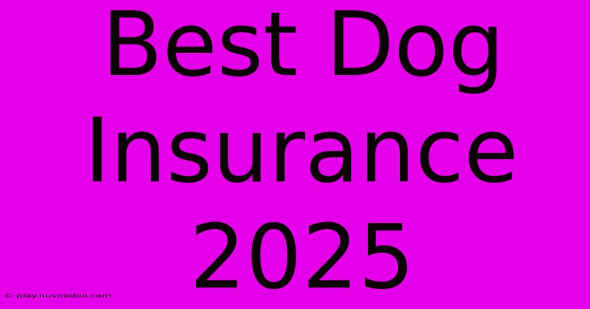 Best Dog Insurance 2025