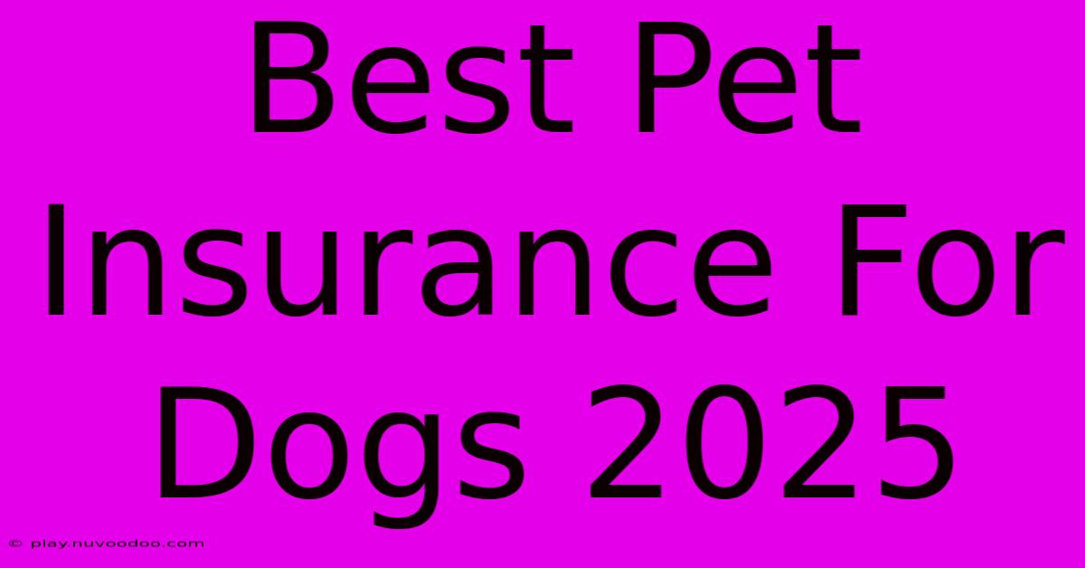 Best Pet Insurance For Dogs 2025