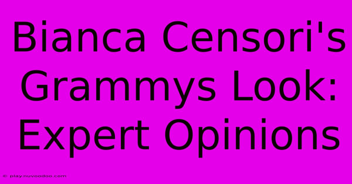 Bianca Censori's Grammys Look: Expert Opinions