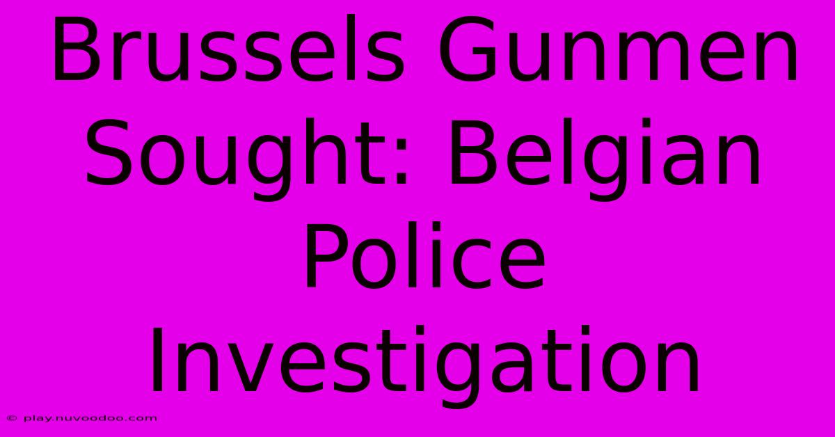 Brussels Gunmen Sought: Belgian Police Investigation