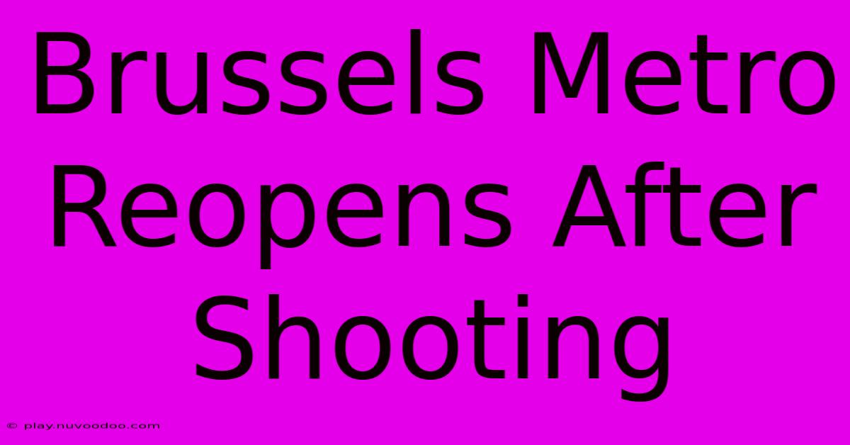 Brussels Metro Reopens After Shooting