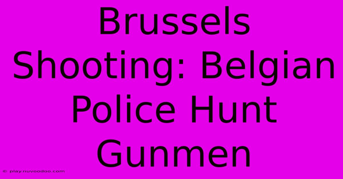 Brussels Shooting: Belgian Police Hunt Gunmen