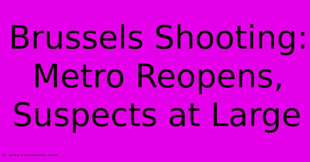 Brussels Shooting: Metro Reopens, Suspects At Large