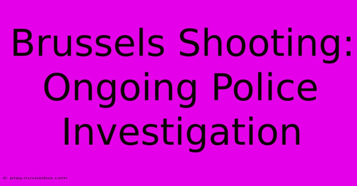 Brussels Shooting: Ongoing Police Investigation