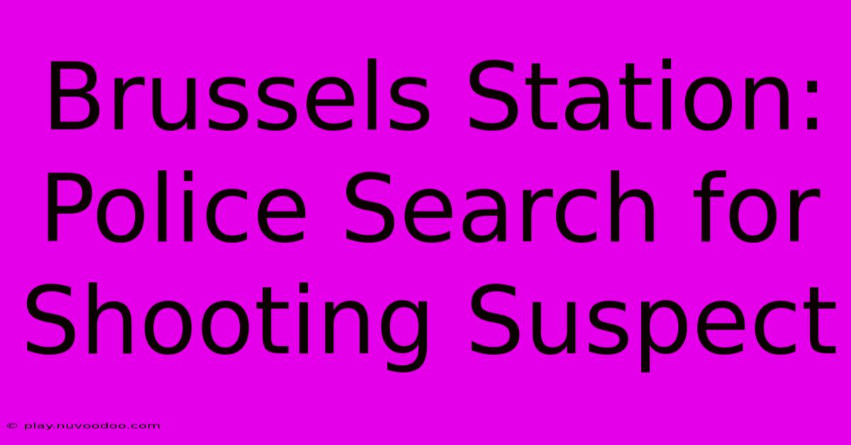 Brussels Station: Police Search For Shooting Suspect