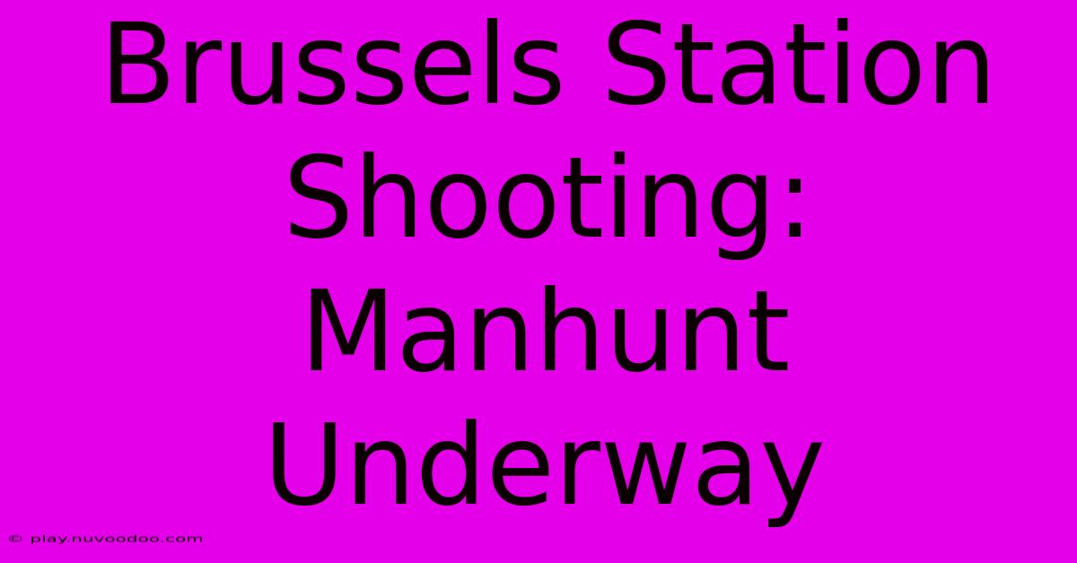 Brussels Station Shooting: Manhunt Underway