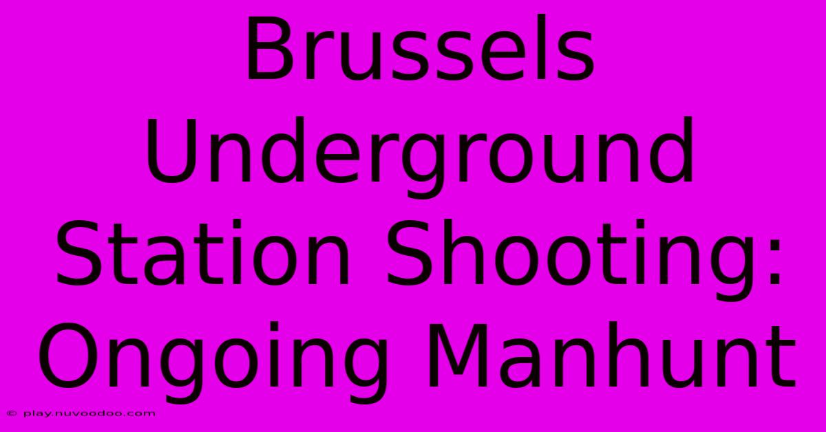 Brussels Underground Station Shooting: Ongoing Manhunt