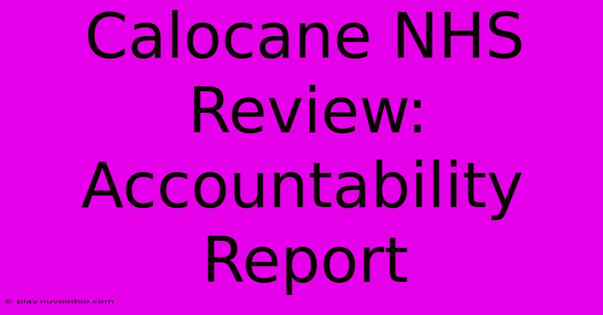 Calocane NHS Review: Accountability Report