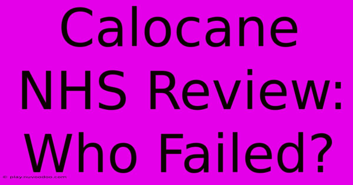 Calocane NHS Review: Who Failed?