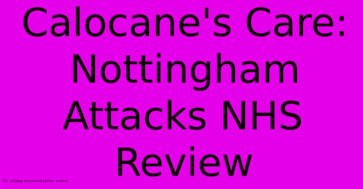 Calocane's Care: Nottingham Attacks NHS Review