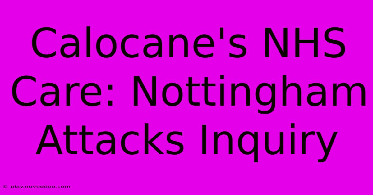 Calocane's NHS Care: Nottingham Attacks Inquiry