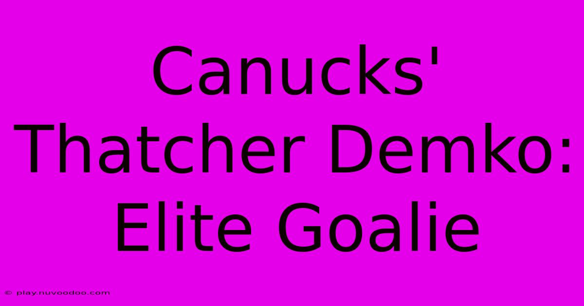 Canucks' Thatcher Demko: Elite Goalie