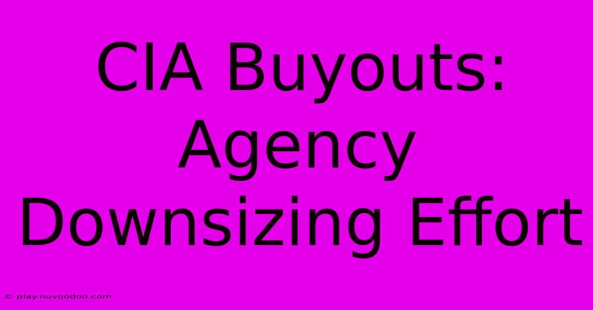 CIA Buyouts: Agency Downsizing Effort