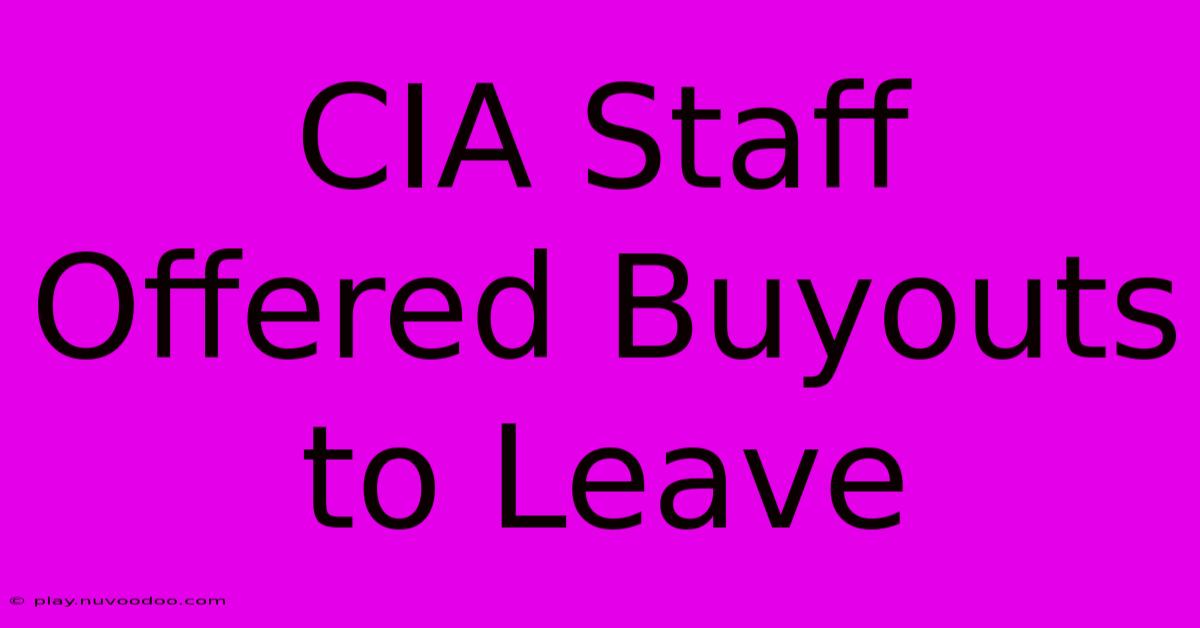 CIA Staff Offered Buyouts To Leave