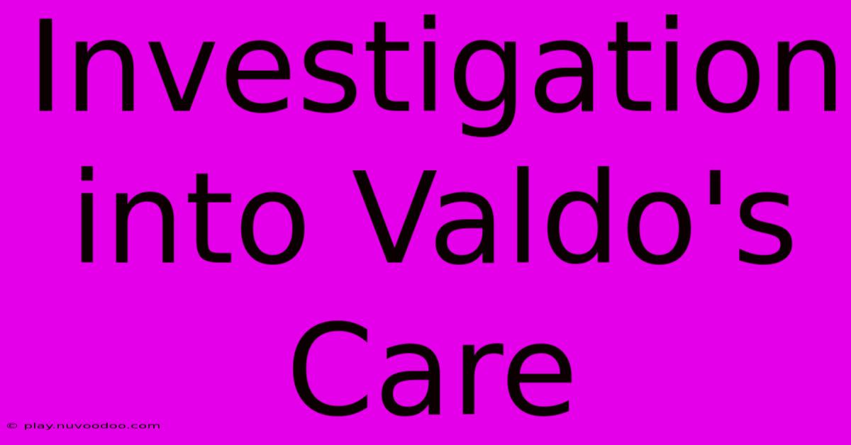 Investigation Into Valdo's Care