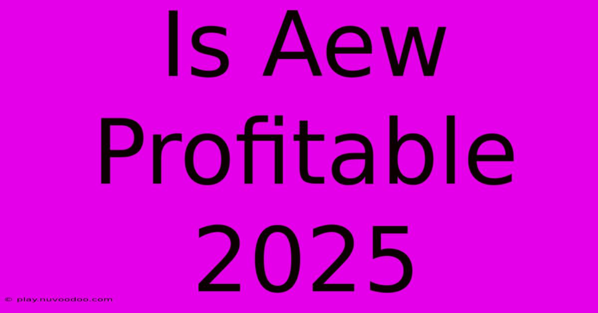 Is Aew Profitable 2025