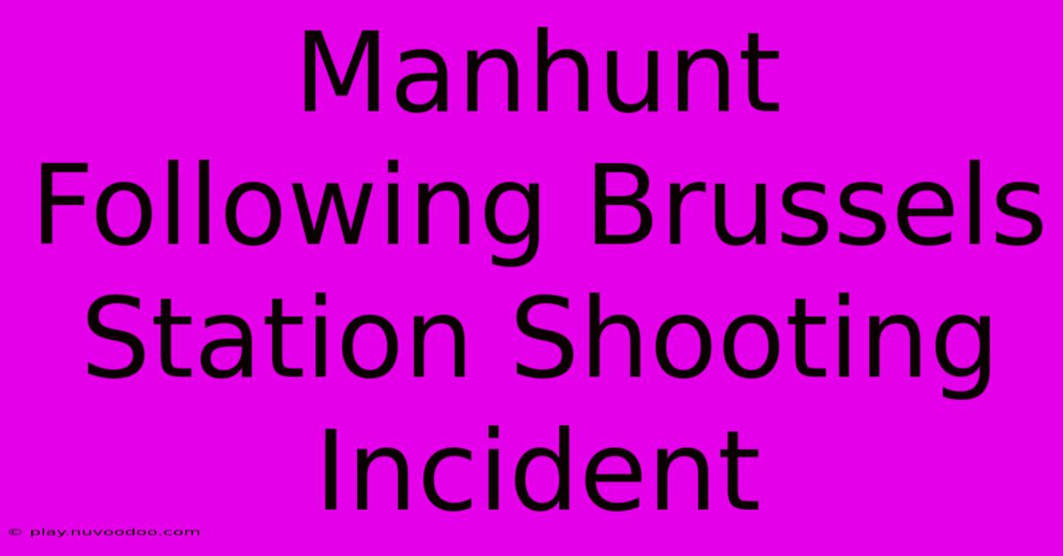 Manhunt Following Brussels Station Shooting Incident