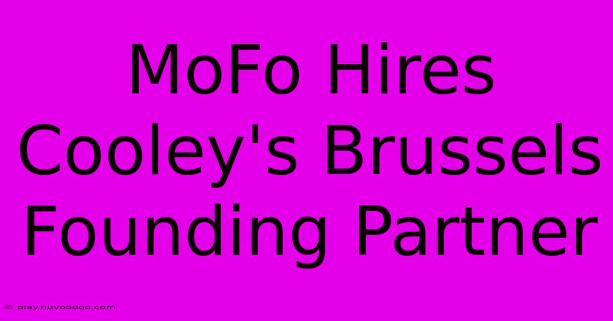 MoFo Hires Cooley's Brussels Founding Partner