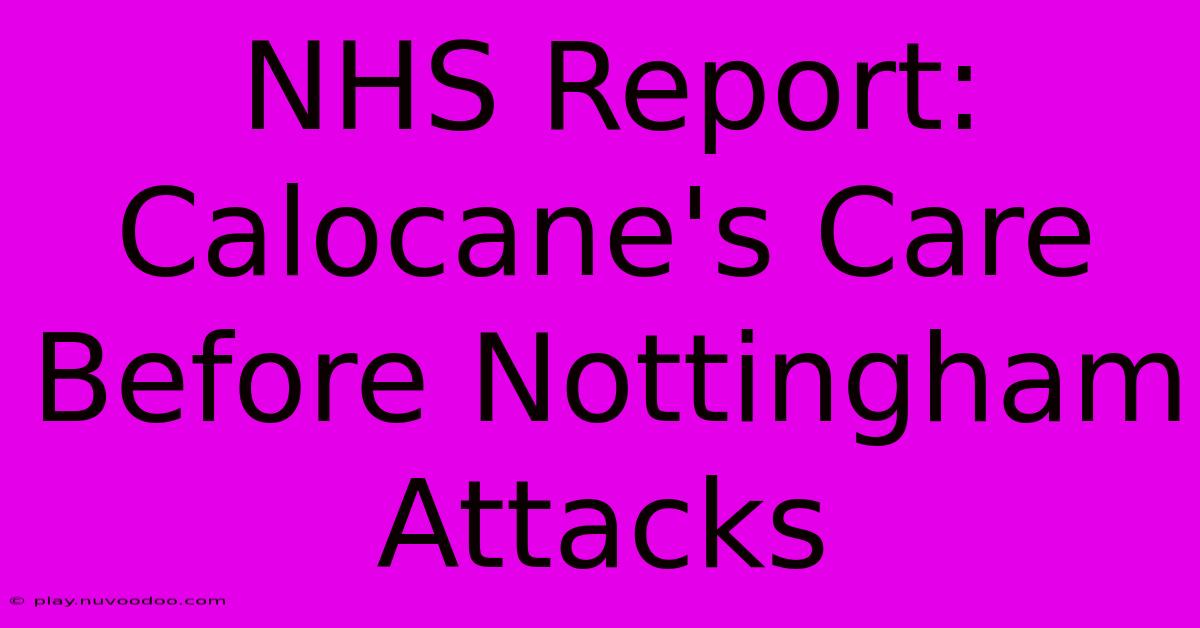 NHS Report: Calocane's Care Before Nottingham Attacks