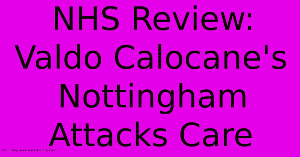 NHS Review: Valdo Calocane's Nottingham Attacks Care