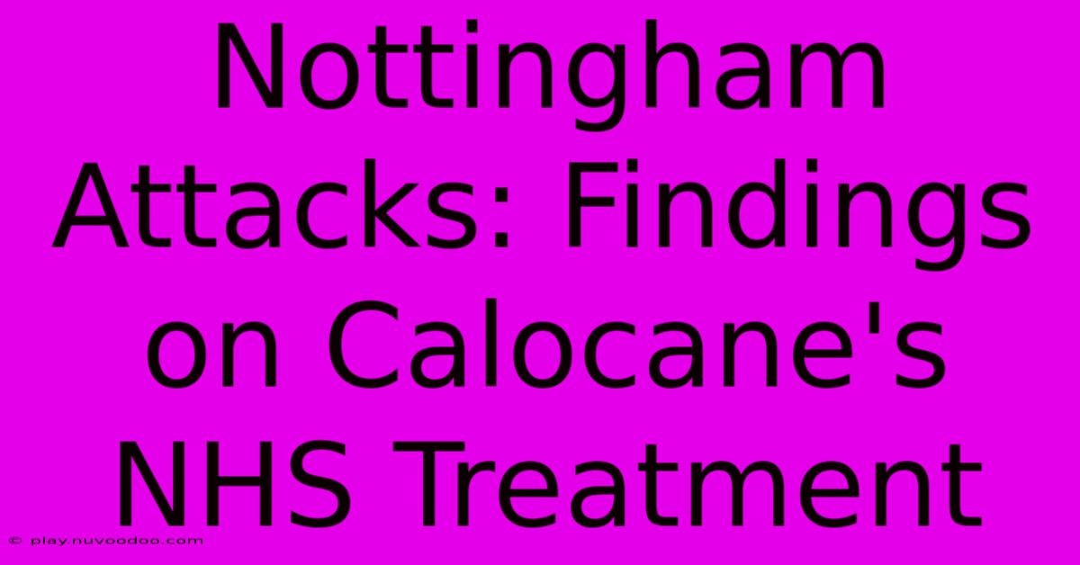 Nottingham Attacks: Findings On Calocane's NHS Treatment