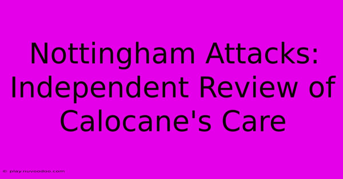 Nottingham Attacks: Independent Review Of Calocane's Care