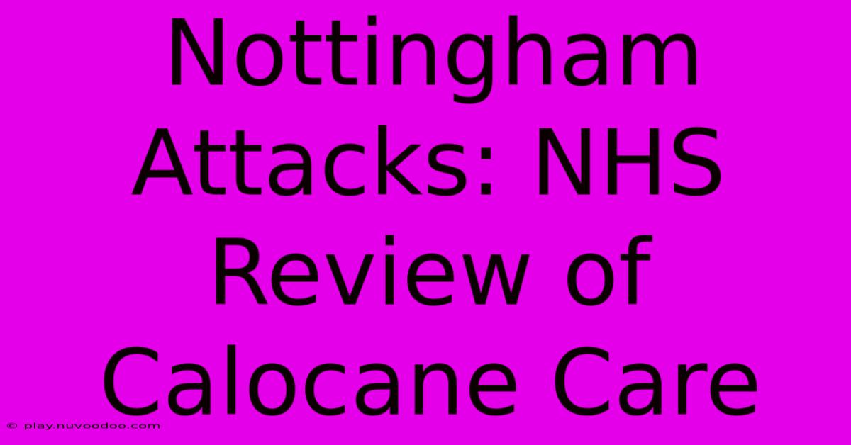 Nottingham Attacks: NHS Review Of Calocane Care