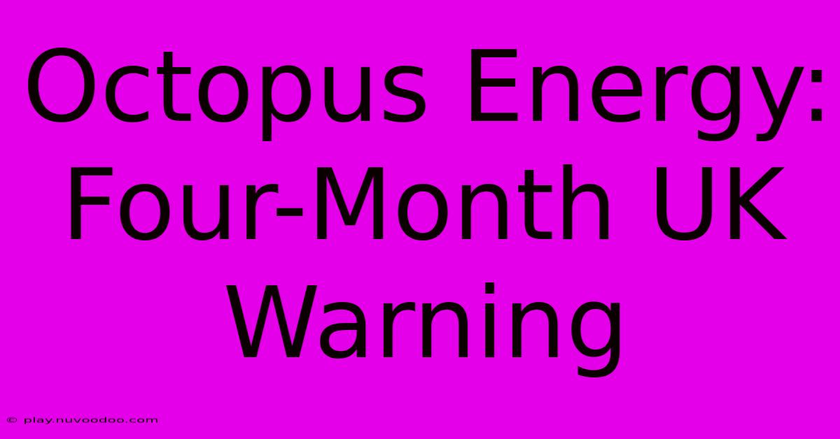 Octopus Energy: Four-Month UK Warning