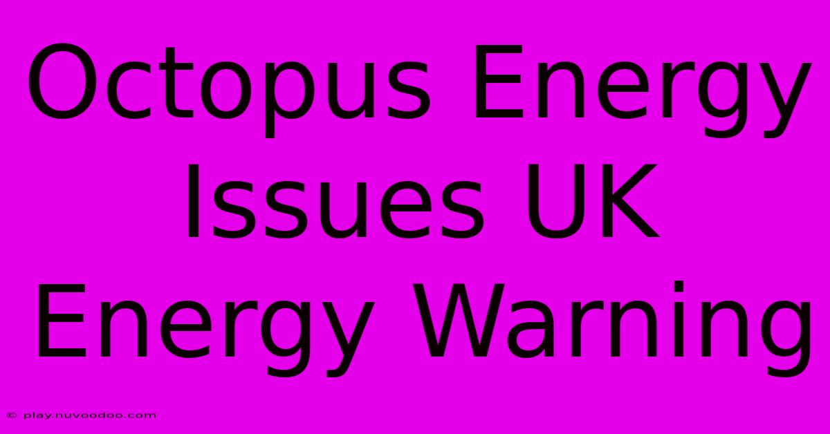 Octopus Energy Issues UK Energy Warning