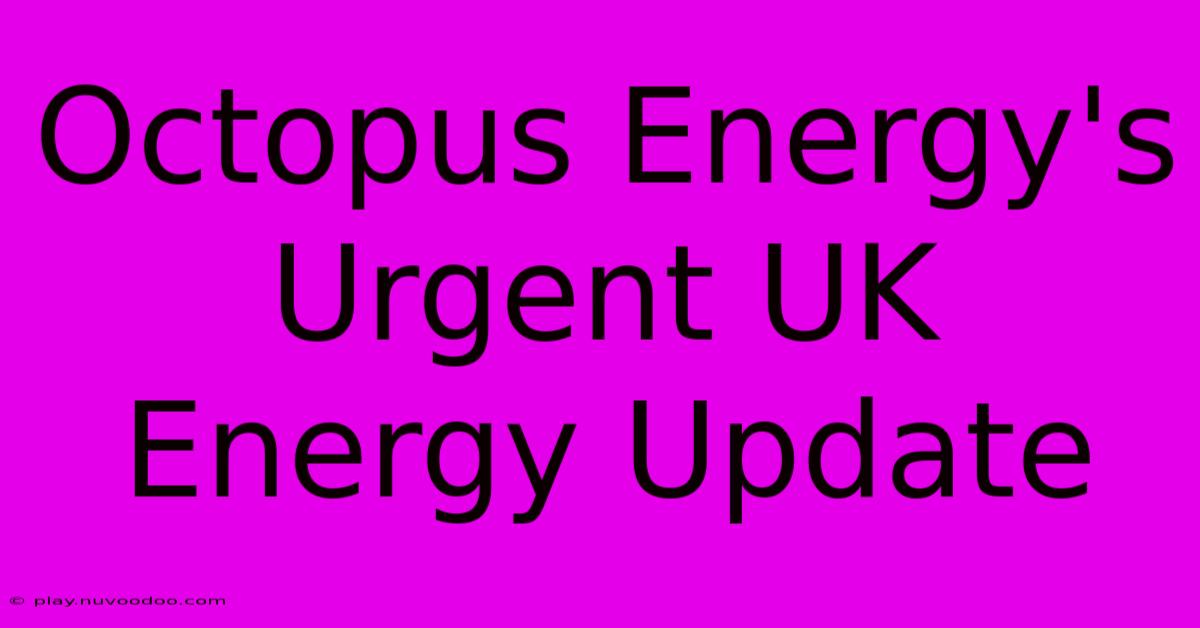 Octopus Energy's Urgent UK Energy Update