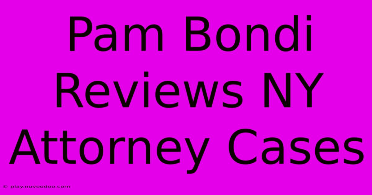 Pam Bondi Reviews NY Attorney Cases