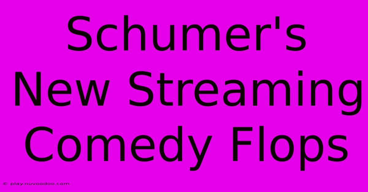 Schumer's New Streaming Comedy Flops