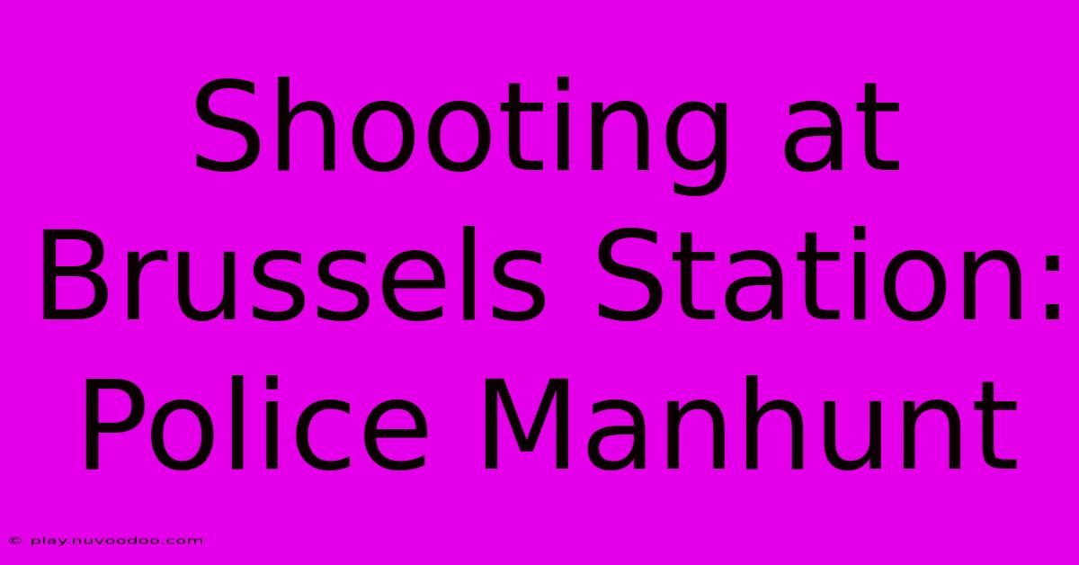 Shooting At Brussels Station: Police Manhunt