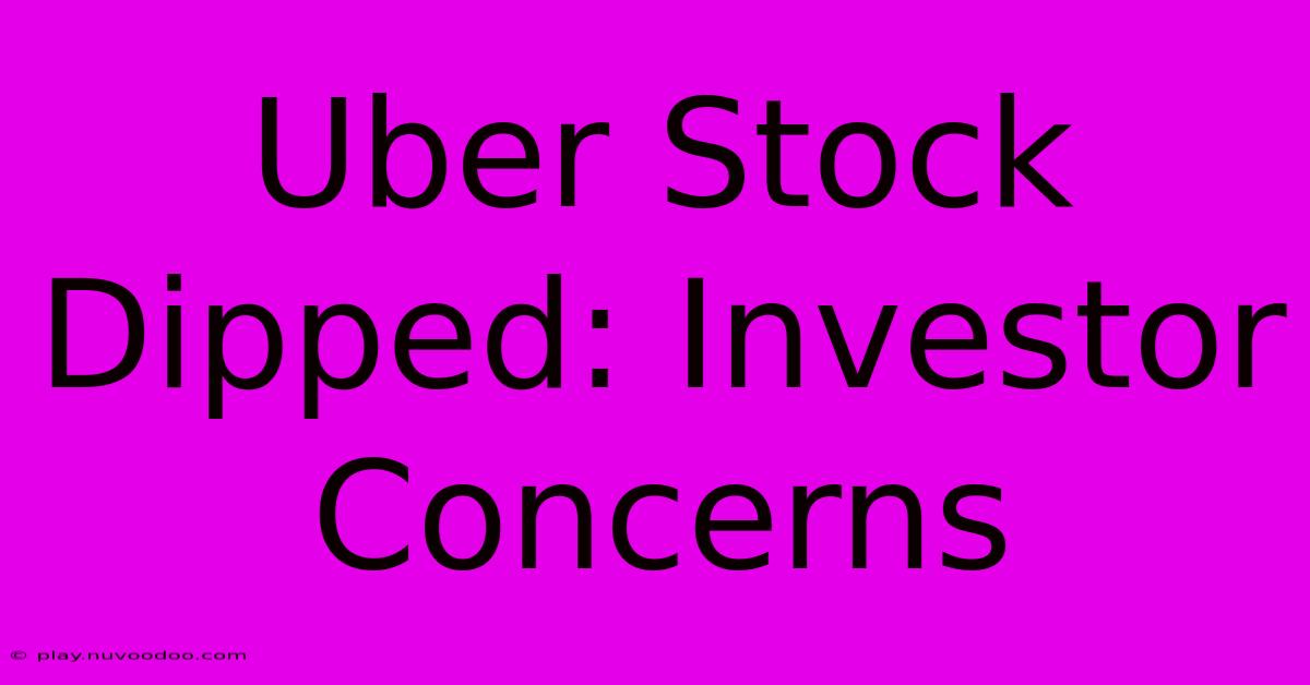 Uber Stock Dipped: Investor Concerns