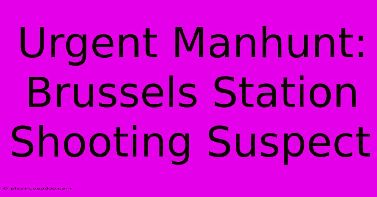 Urgent Manhunt: Brussels Station Shooting Suspect