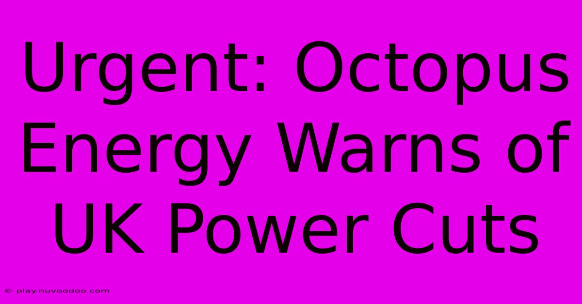 Urgent: Octopus Energy Warns Of UK Power Cuts