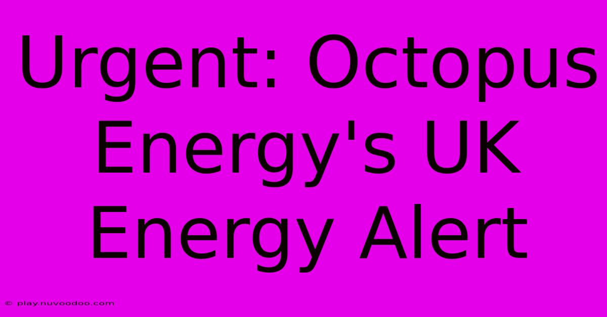 Urgent: Octopus Energy's UK Energy Alert