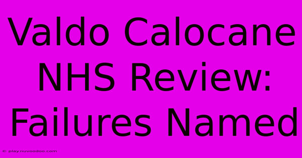 Valdo Calocane NHS Review: Failures Named