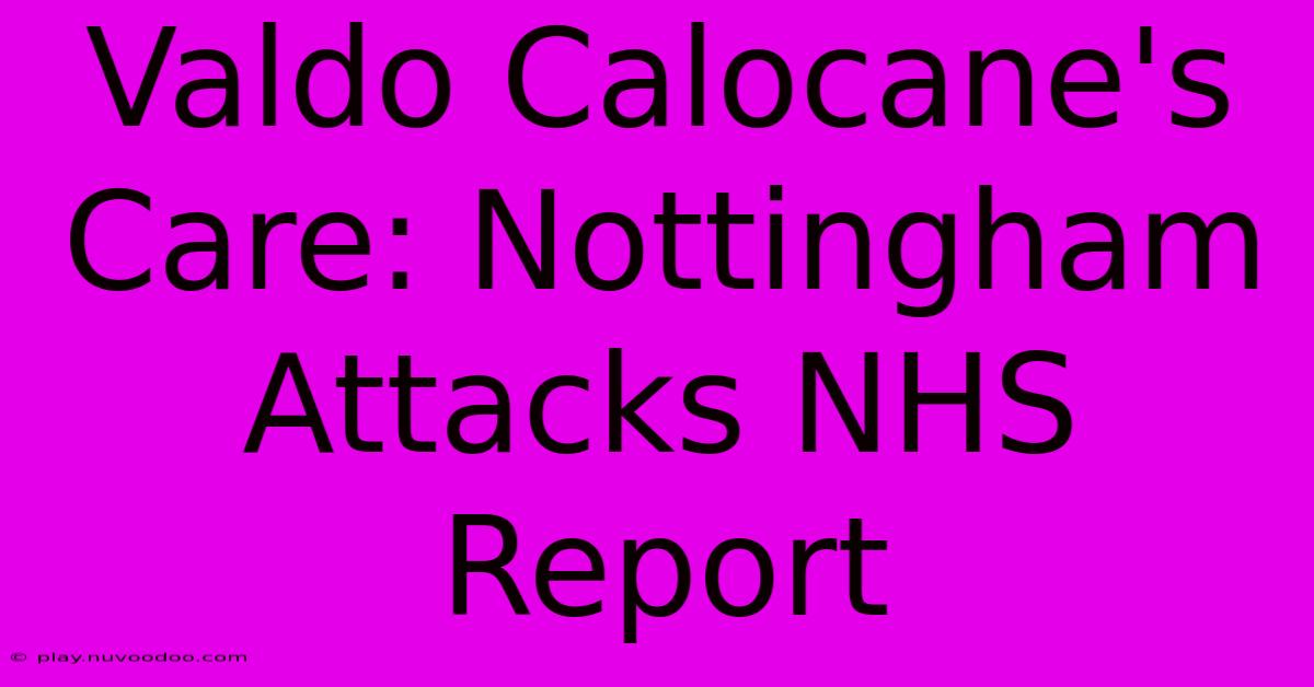 Valdo Calocane's Care: Nottingham Attacks NHS Report