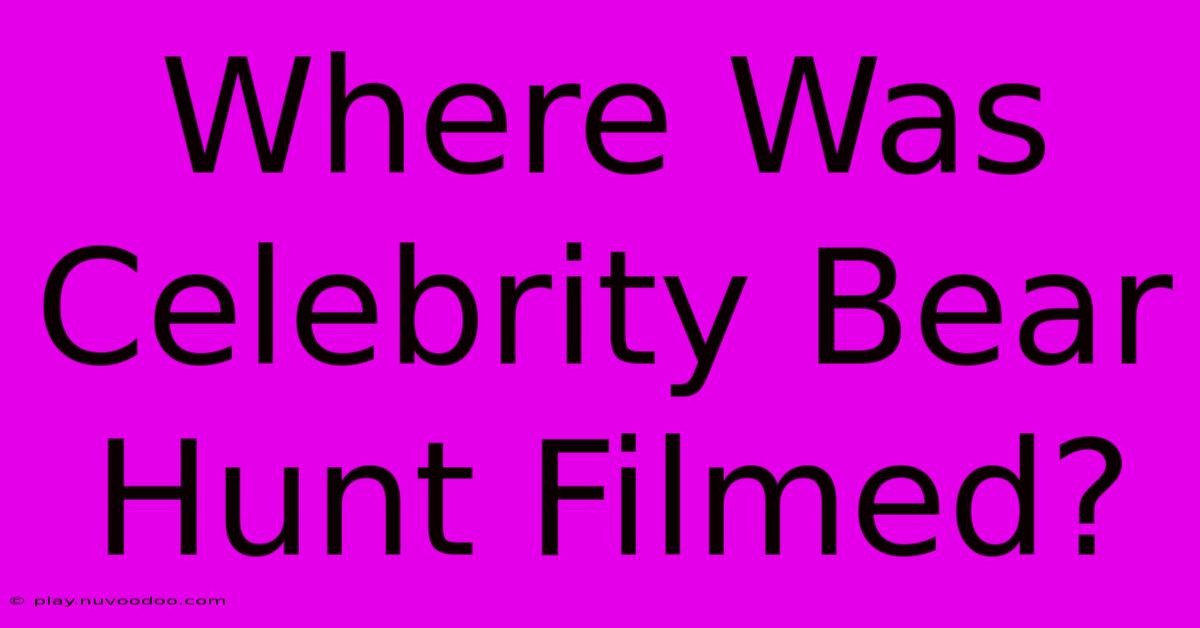 Where Was Celebrity Bear Hunt Filmed?