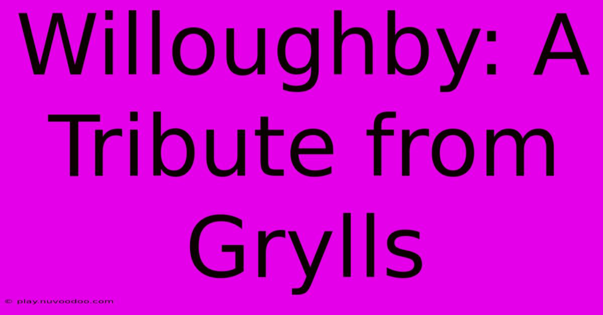 Willoughby: A Tribute From Grylls